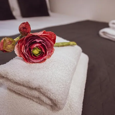 公寓式酒店 Bg Exclusive 4*